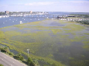 reunion2010_027